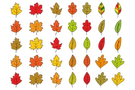 Autumn Leaves Animation Clipart Collection: A Seasonal Graphic Design Journey