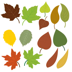 Autumn Leaves Animation Clipart Collection: Seasonal Nature Design Elements