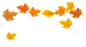 Autumn Leaves Animation: Graceful Fall Foliage Dancing in Seasonal Harmony