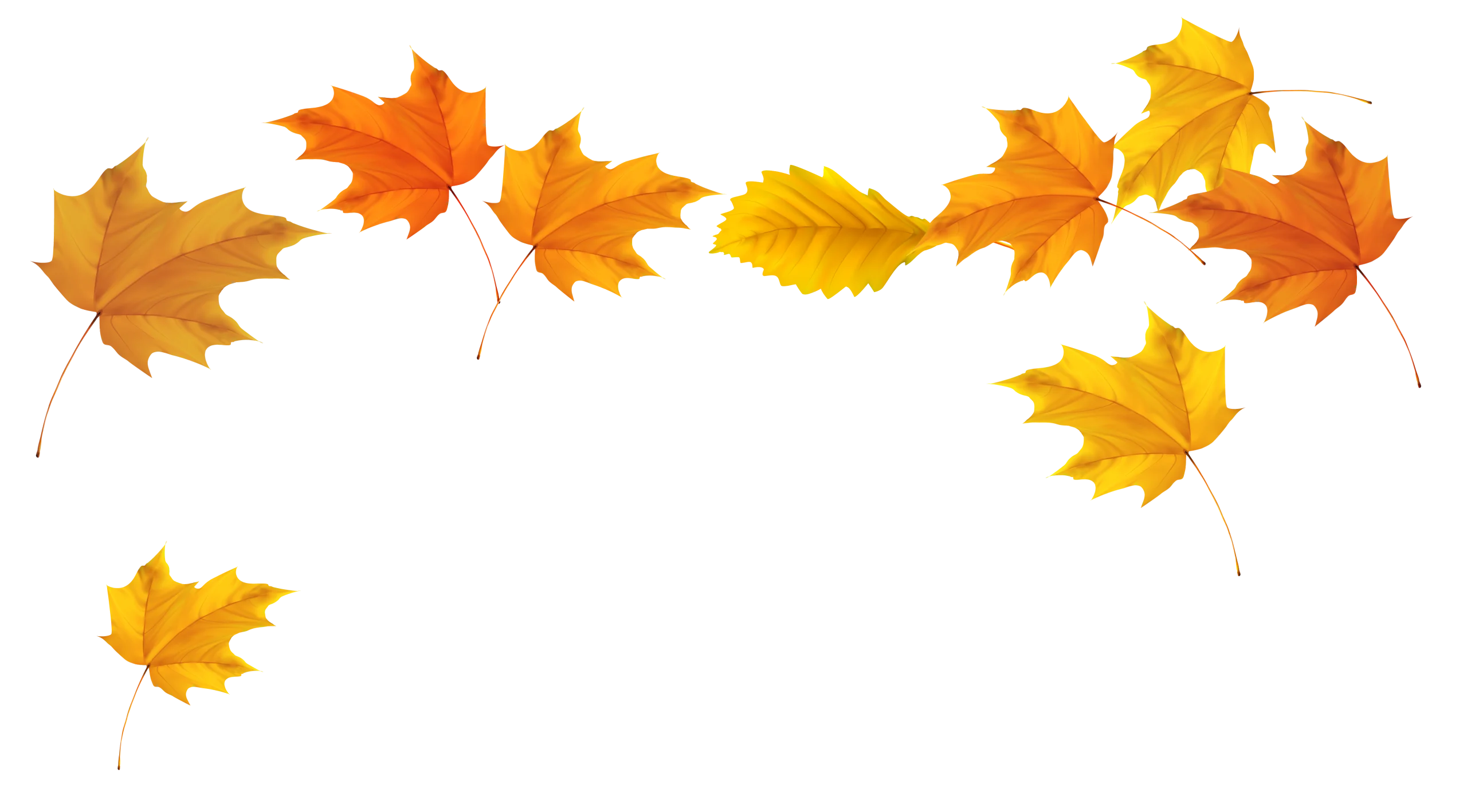 Autumn Leaves Animation: Graceful Fall Foliage Dancing in Seasonal Harmony