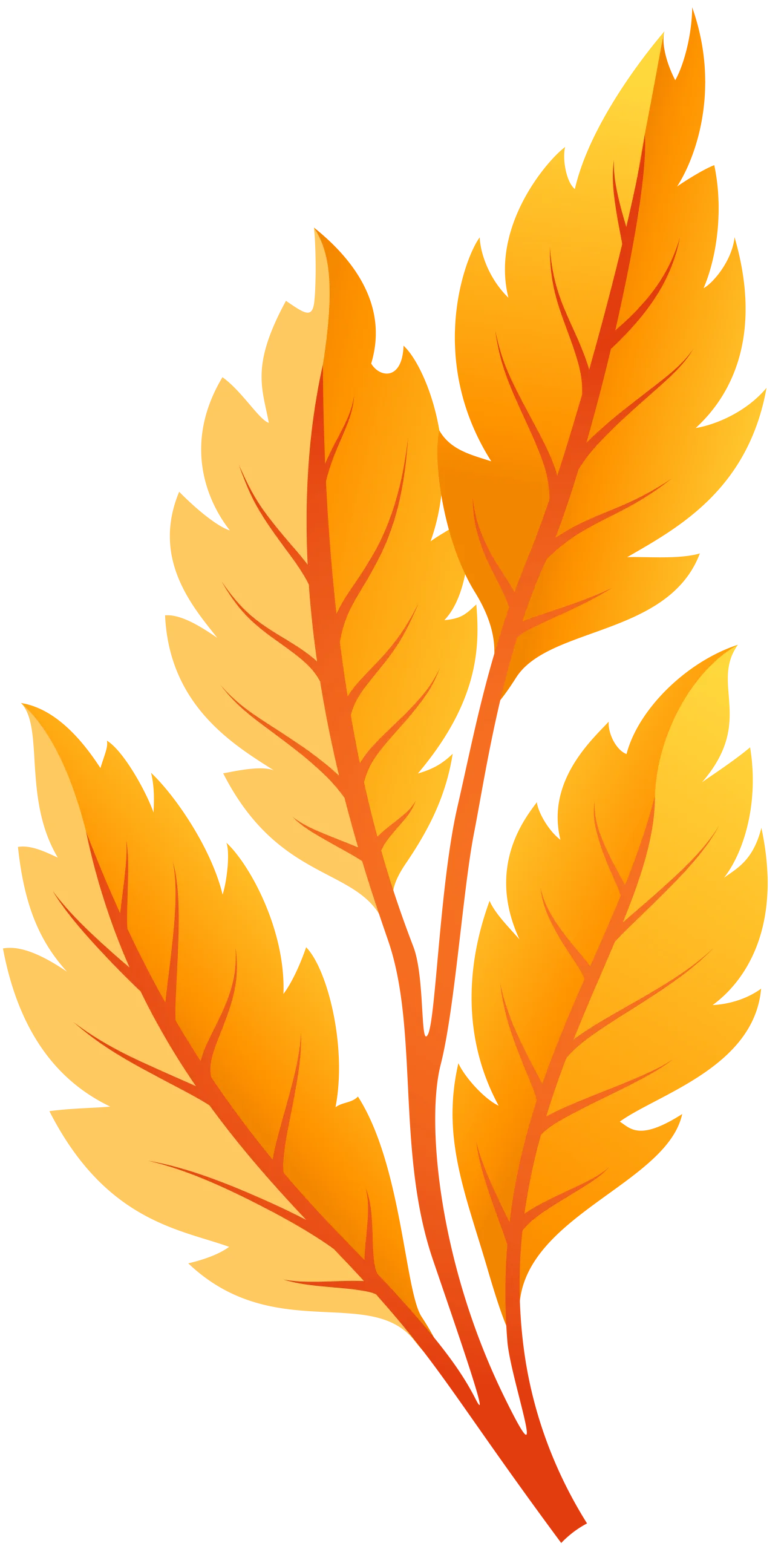 Autumn Leaves Animation: Graceful Golden Orange Botanical Illustration