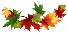 Autumn's Dance: A Mesmerizing Animation of Falling Maple Leaves