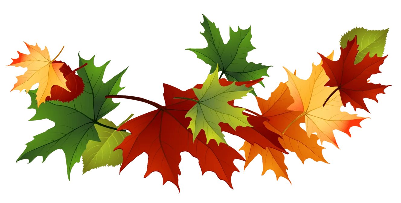 Autumn's Dance: A Mesmerizing Animation of Falling Maple Leaves