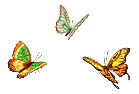 Delicate Butterfly Dance: A Whimsical Collection of Nature's Winged Artistry Clipart