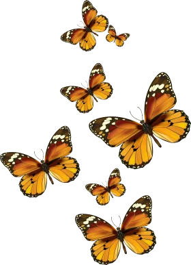 Elegant Monarch Butterfly Cluster Clipart Design for Nature-Inspired Graphics
