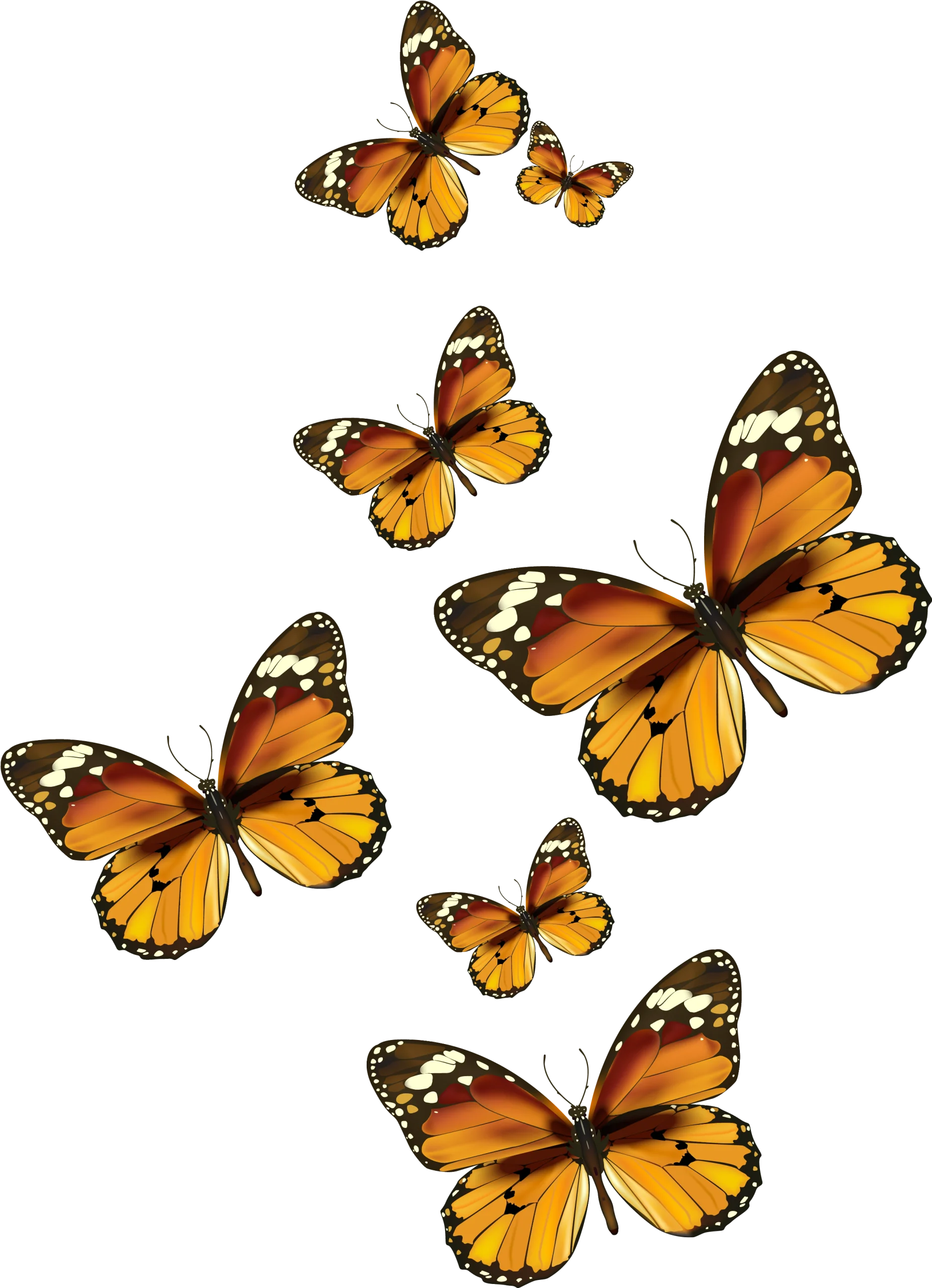 Elegant Monarch Butterfly Cluster Clipart Design for Nature-Inspired Graphics
