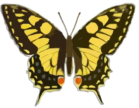 Elegant Swallowtail Butterfly Symmetrical Nature Clipart Illustration