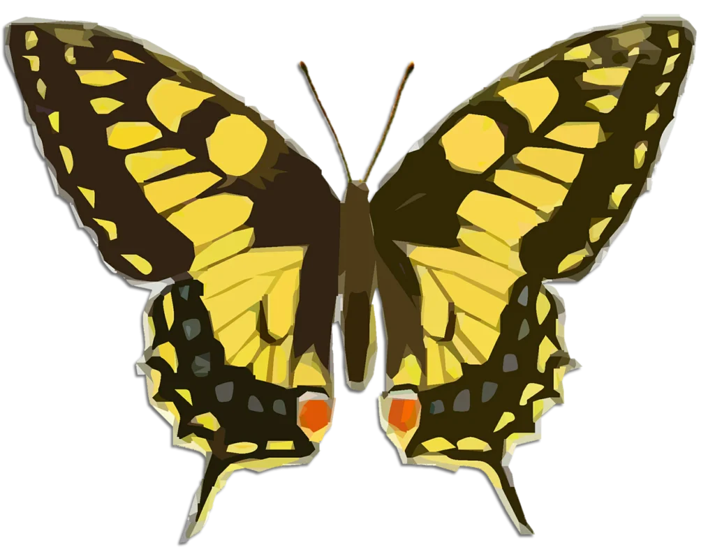 Elegant Swallowtail Butterfly Symmetrical Nature Clipart Illustration