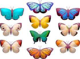 Enchanting Butterfly Collection: A Delightful Digital Clipart Showcase of Wing Diversity