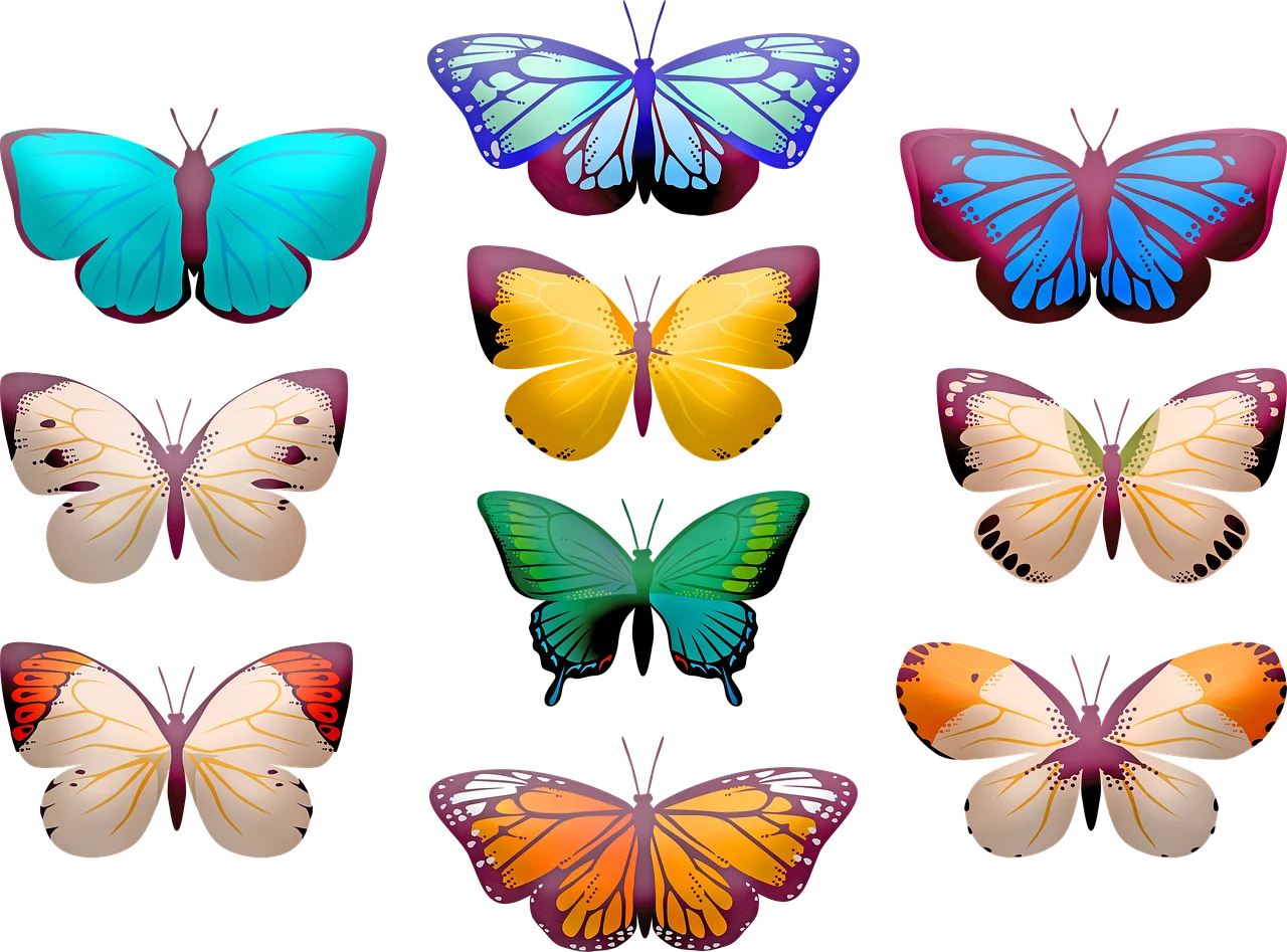 Enchanting Butterfly Collection: A Delightful Digital Clipart Showcase of Wing Diversity