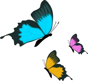 Enchanting Butterfly Trio Clipart: Elegant Wings in Stunning Graphic Design