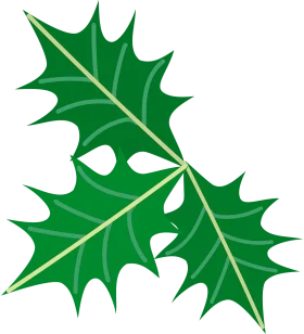 Enchanting Holly Leaves Animation Clipart with Serrated Green Edges