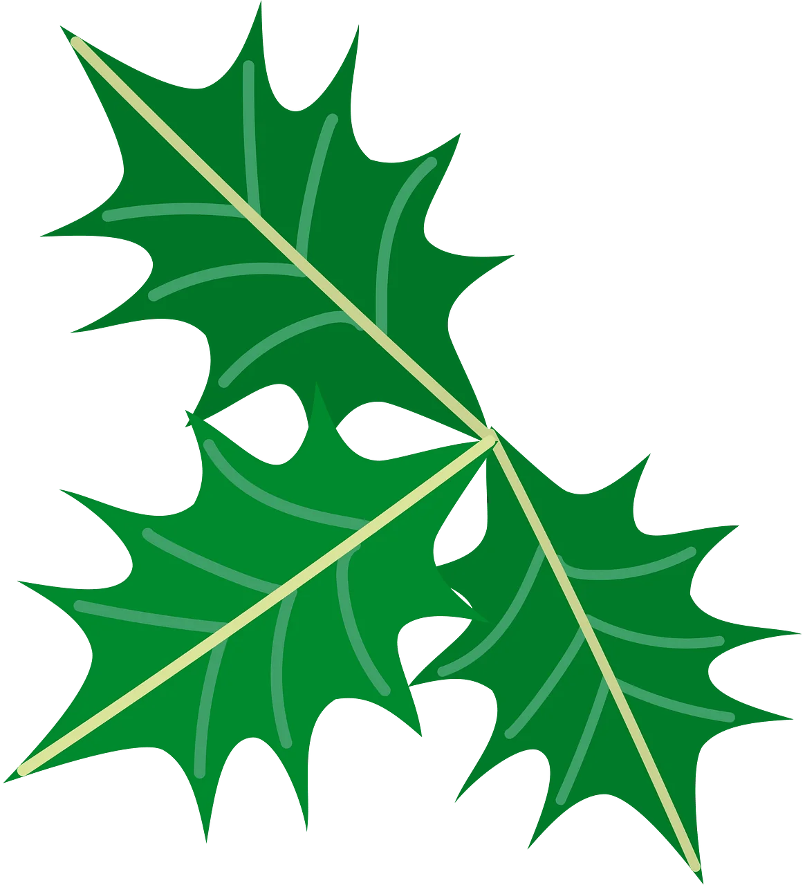 Enchanting Holly Leaves Animation Clipart with Serrated Green Edges
