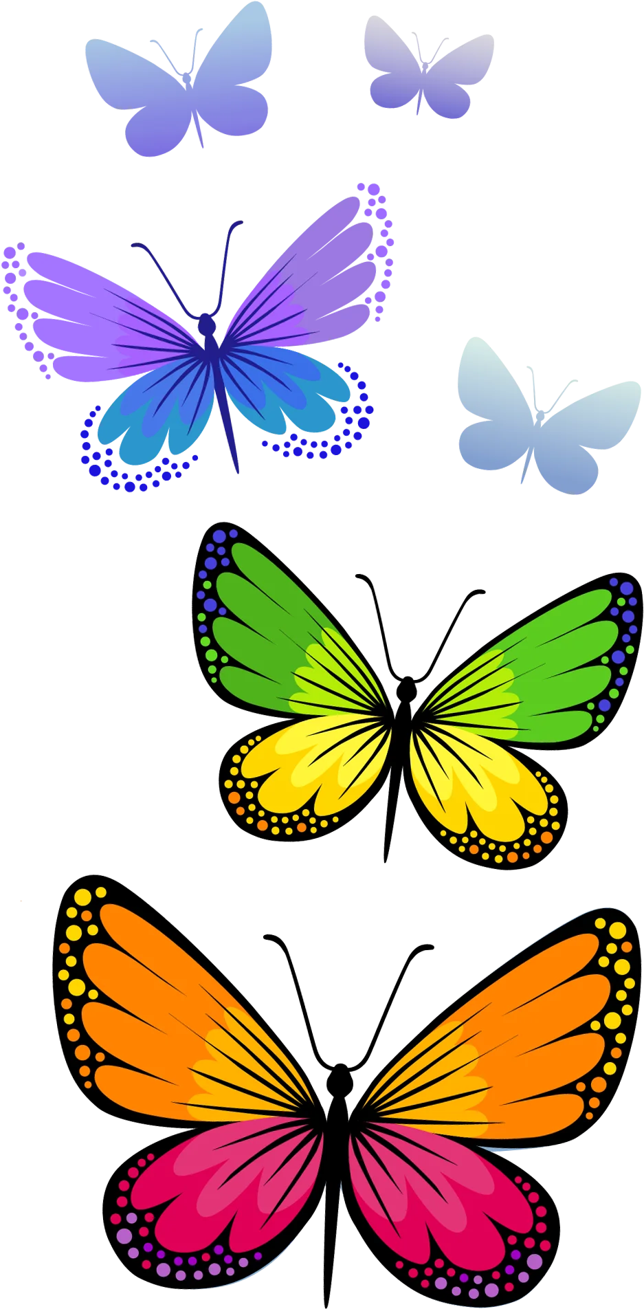 Enchanting Symphony of Colorful Butterfly Clipart: Nature's Delicate Wing Palette