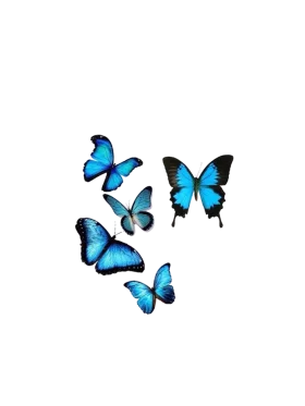 Ethereal Blue Morpho Butterflies Delicate Digital Clipart Collection