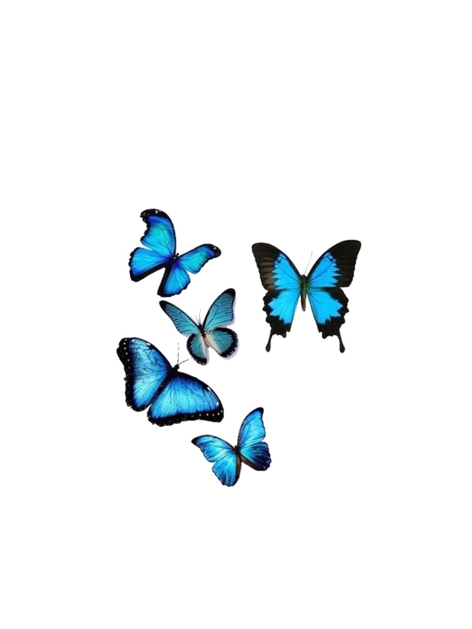 Ethereal Blue Morpho Butterflies Delicate Digital Clipart Collection