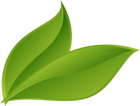 Fresh Green Leaf Animation: Stylized Natural Organic Clipart Design