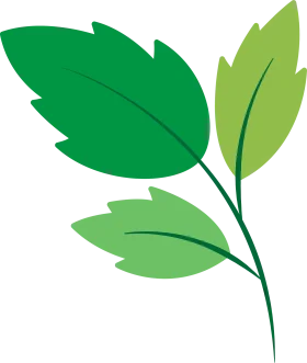 Graceful Green Leaves Animation Clipart with Soft Botanical Essence