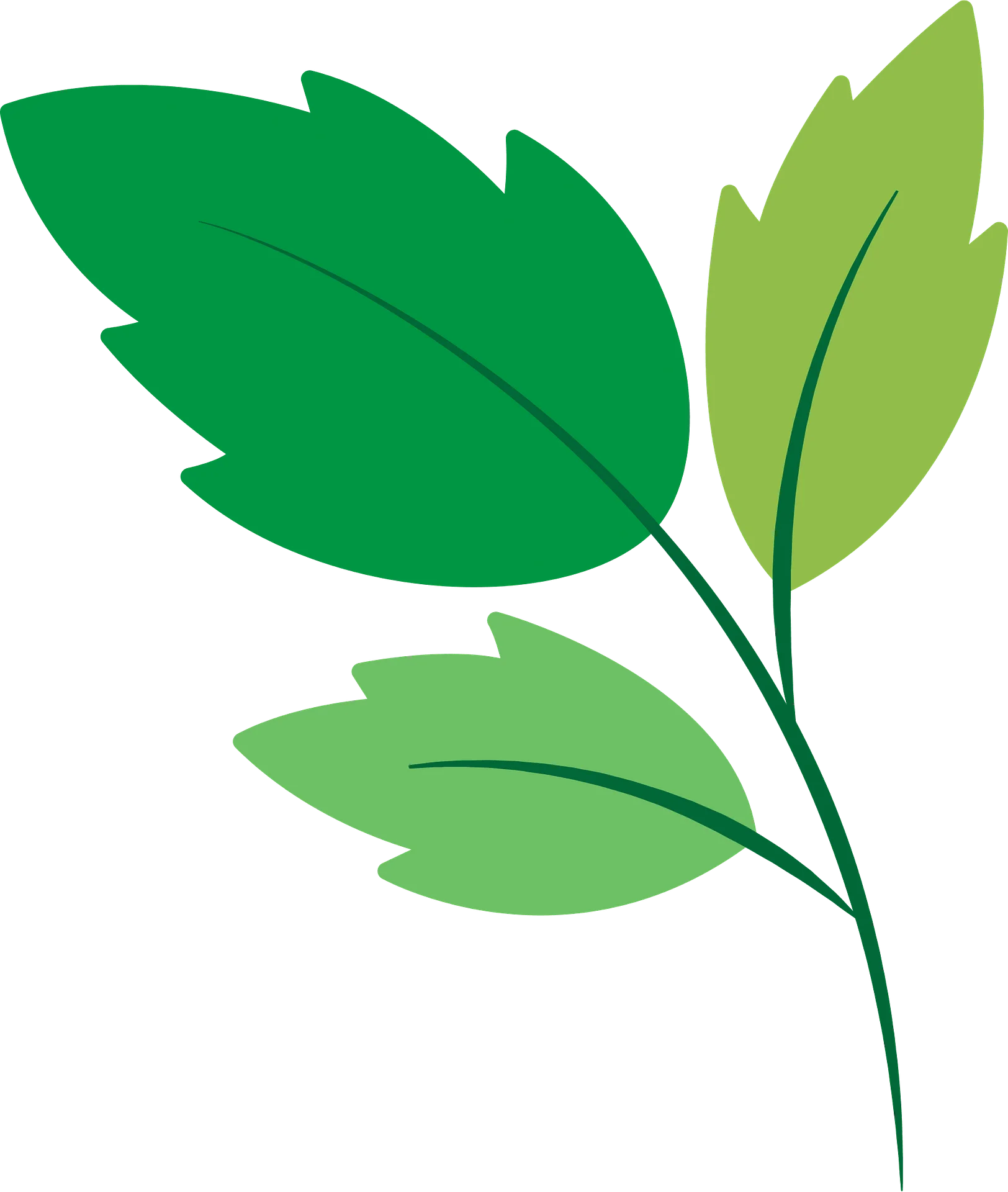 Graceful Green Leaves Animation Clipart with Soft Botanical Essence