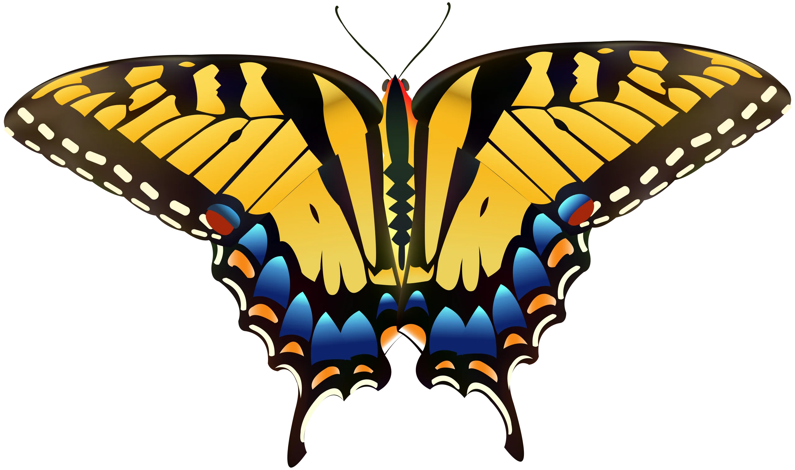 Majestic Swallowtail Butterfly Symmetrical Nature Clipart Design