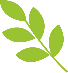 Minimalist Green Leaf Branch Animation Clipart Design Element
