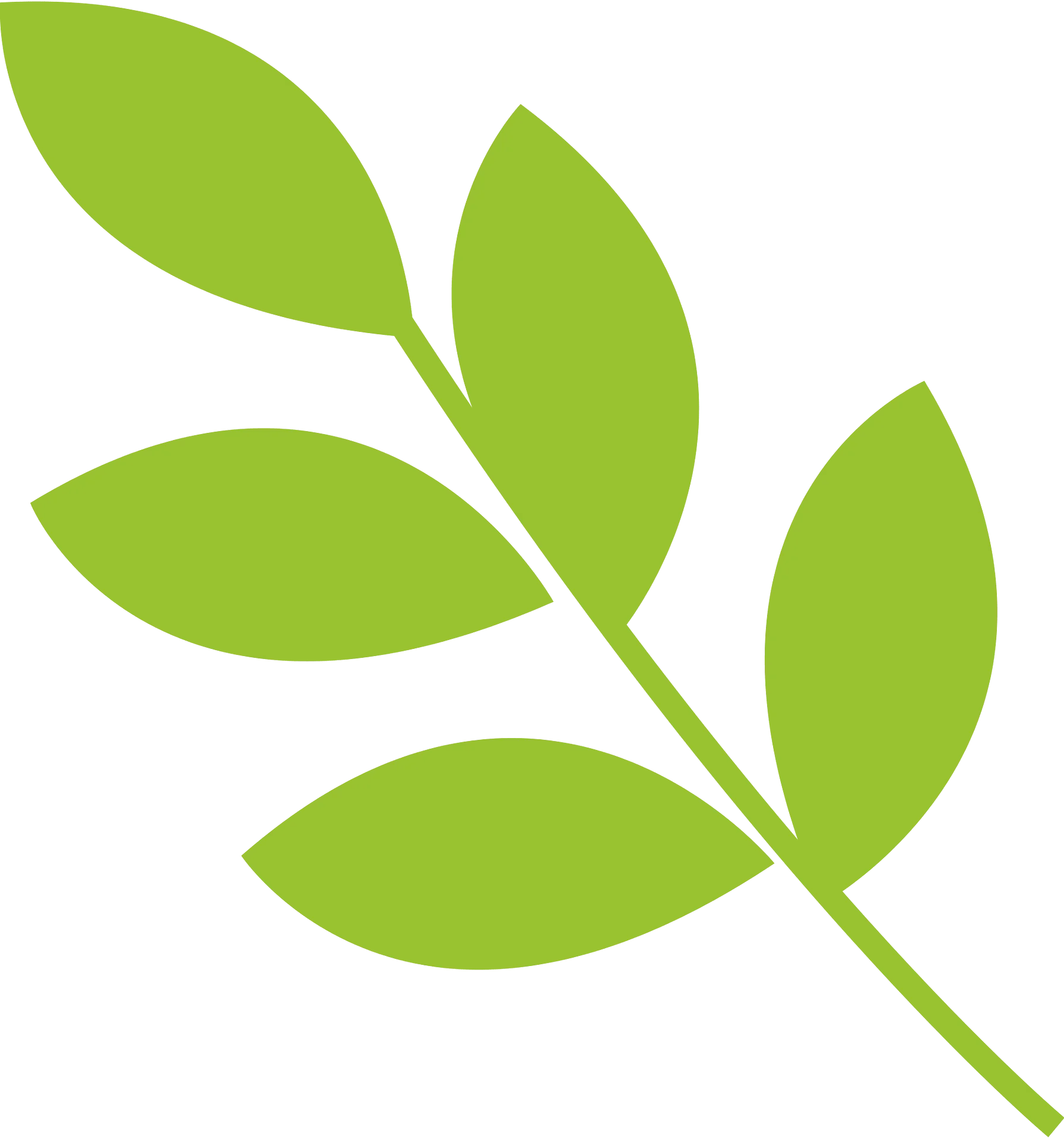 Minimalist Green Leaf Branch Animation Clipart Design Element