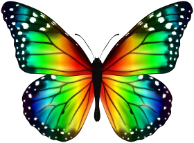 Radiant Symmetry: A Stunning Multicolored Butterfly Clipart Design