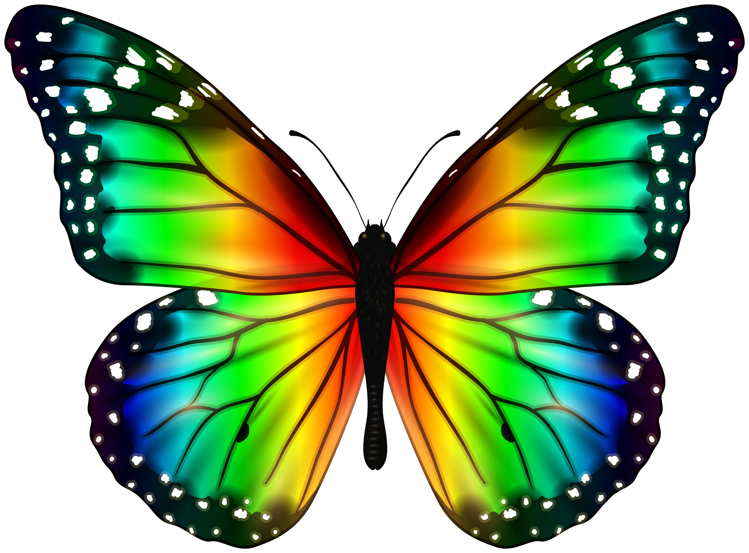 Radiant Symmetry: A Stunning Multicolored Butterfly Clipart Design