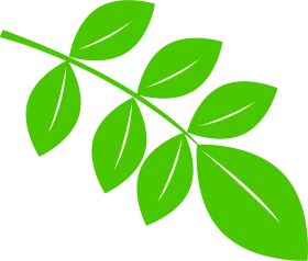 Serene Green Botanical Leaves Animation Clipart Design Element