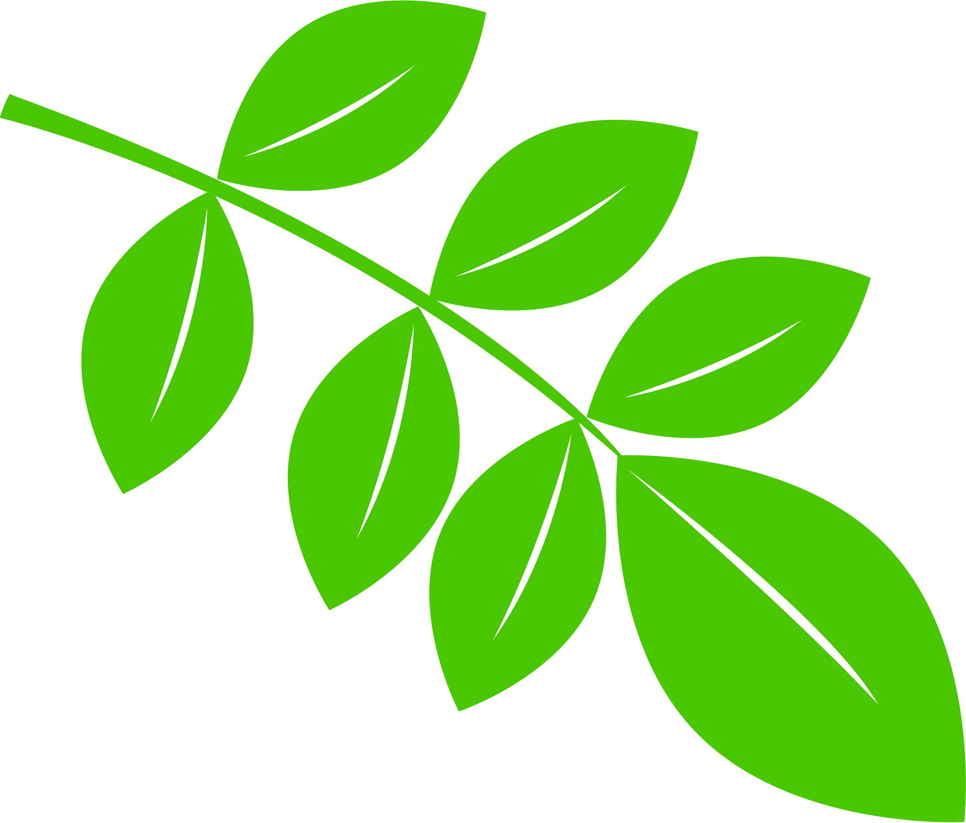 Serene Green Botanical Leaves Animation Clipart Design Element