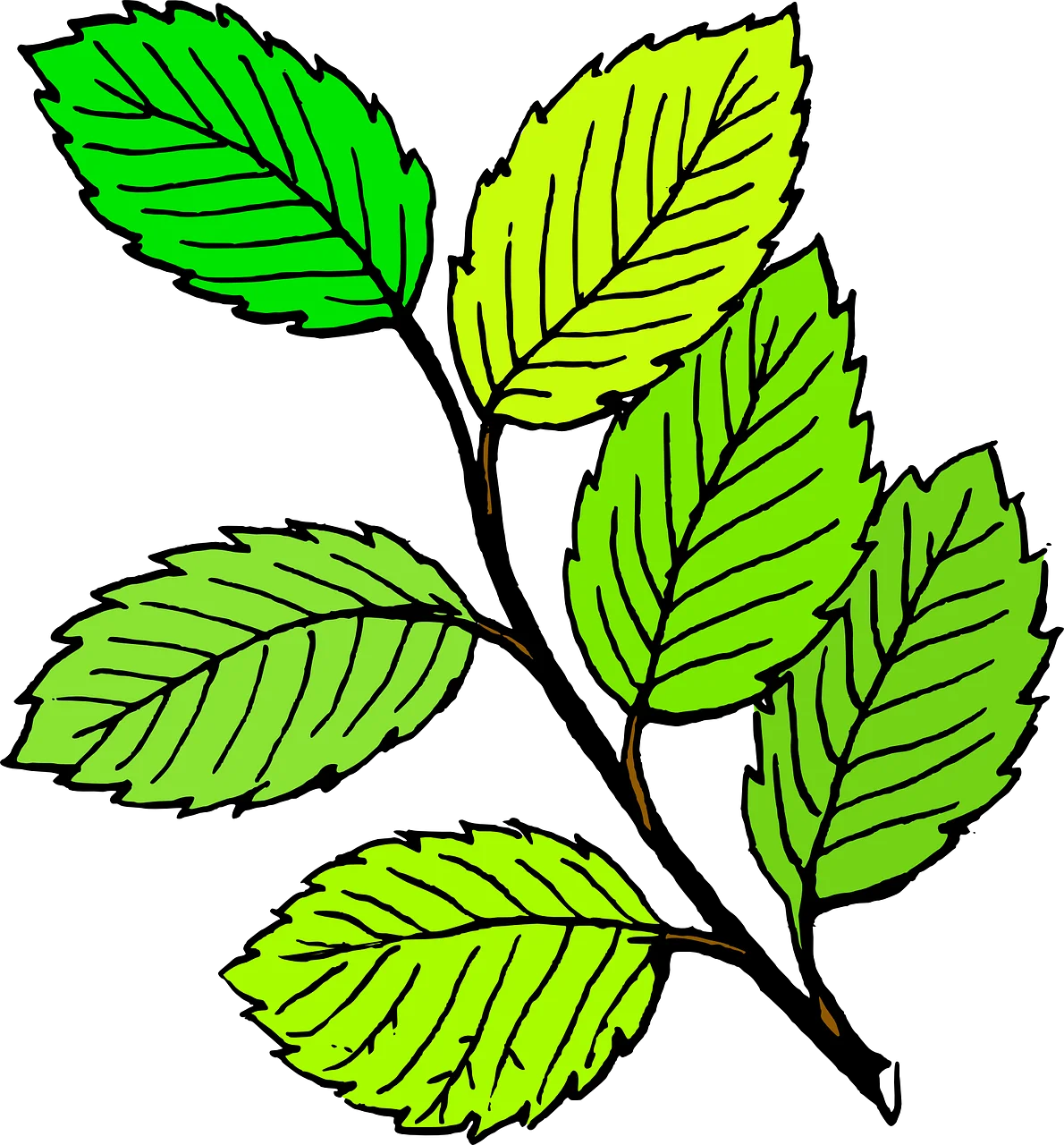 Serene Green Leaves Animation Clipart Botanical Illustration Design