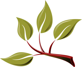 Stylized Green Leaves Branch Animation Graphic Design Element