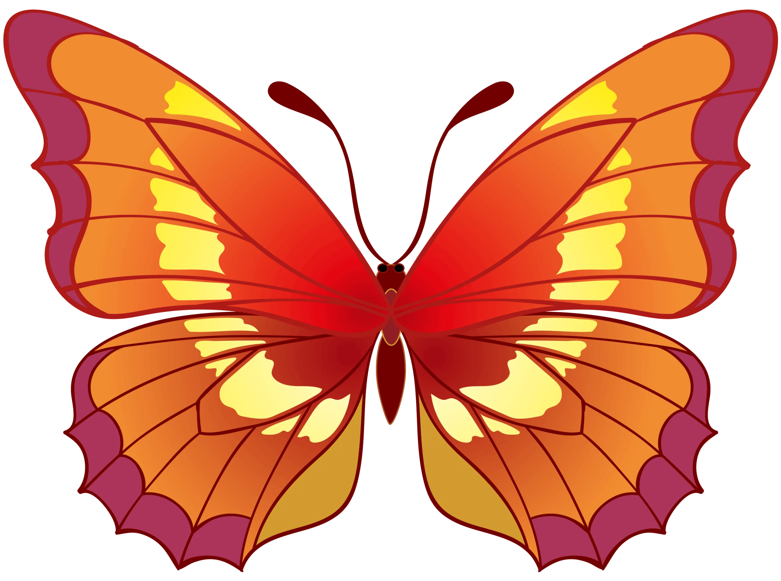 Symmetrical Orange and Red Butterfly Clipart with Elegant Wing Design