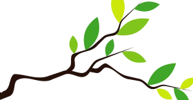 Minimalist Branch Animation Illustration with Soft Green Leaf Design