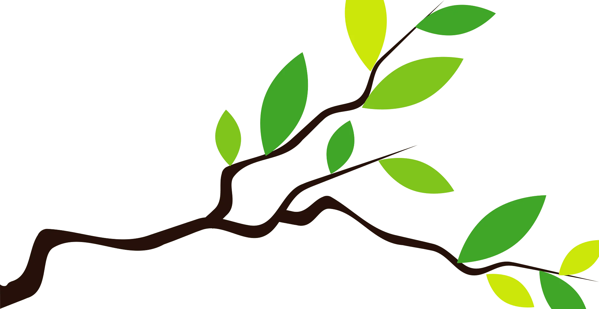 Minimalist Branch Animation Illustration with Soft Green Leaf Design