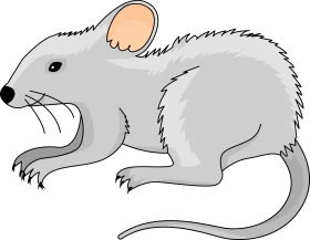 Adorable Gray Mouse Clipart Illustration with Soft Fur and Expressive Features