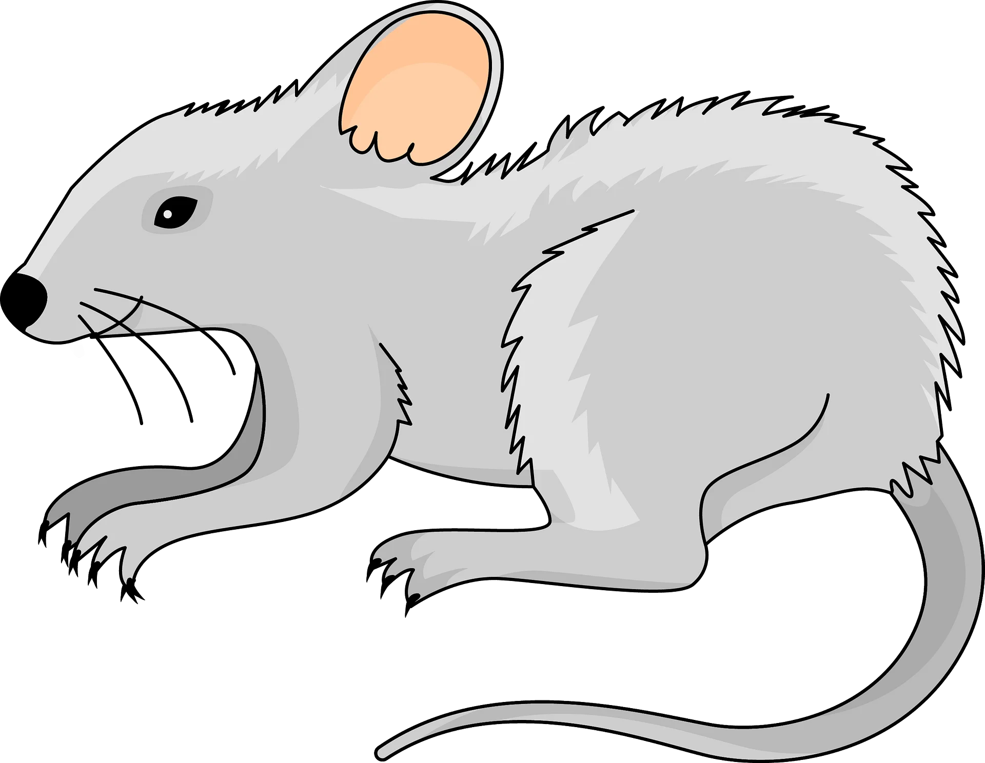 Adorable Gray Mouse Clipart Illustration with Soft Fur and Expressive Features