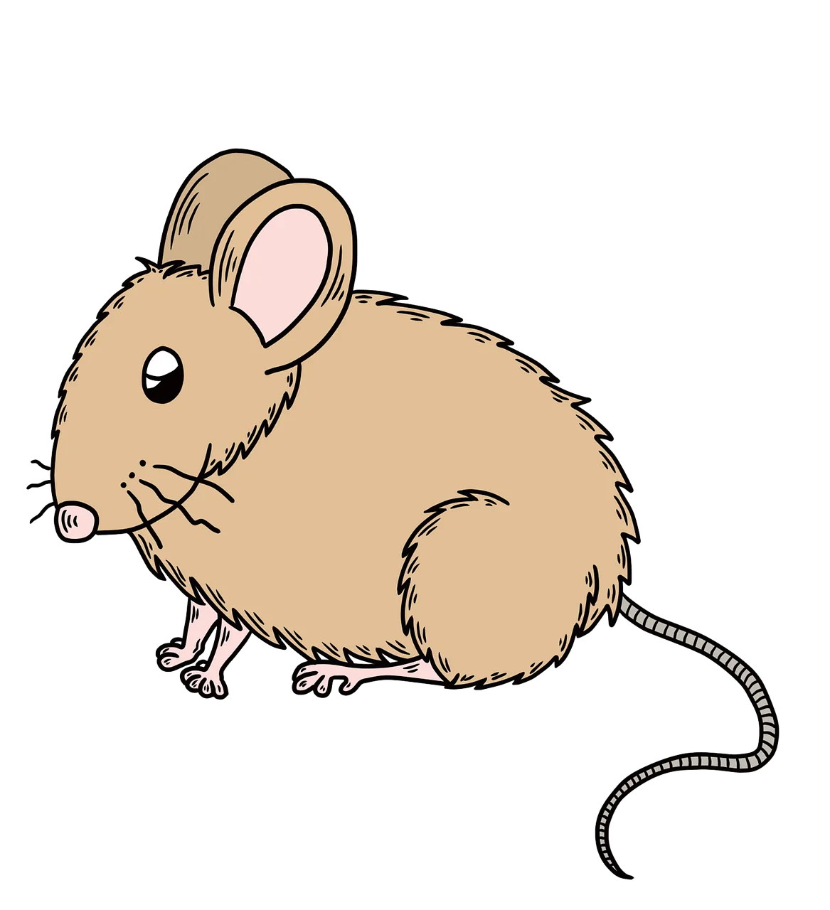 Adorable Hand-Drawn Vintage Beige Mouse Clipart Illustration with Soft Fur