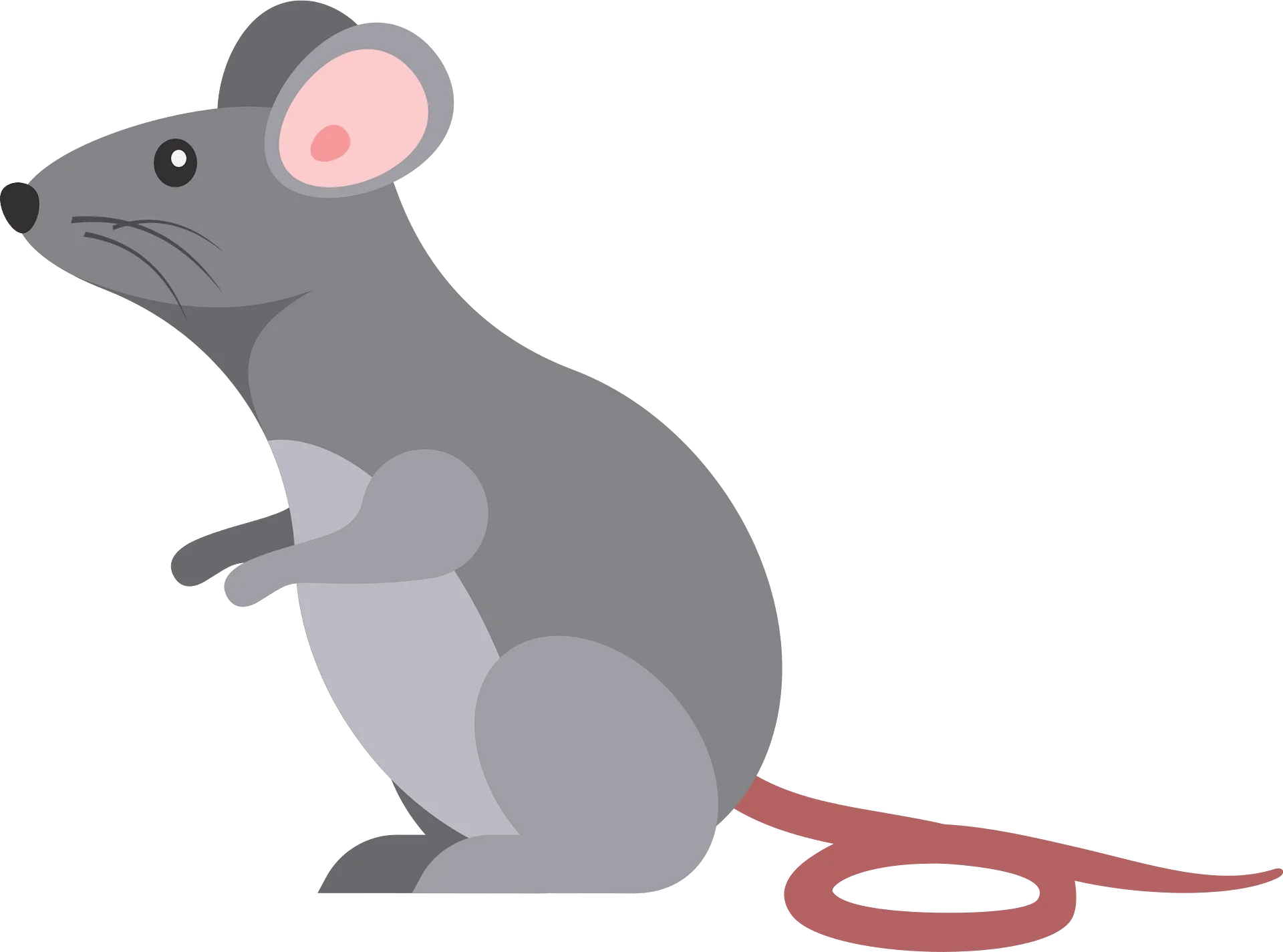 Charming Gray Mouse Clipart Illustration with Soft Rounded Design