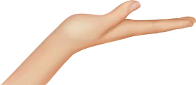 Elegant Minimalist Hand Gesture Clipart with Smooth Skin Texture