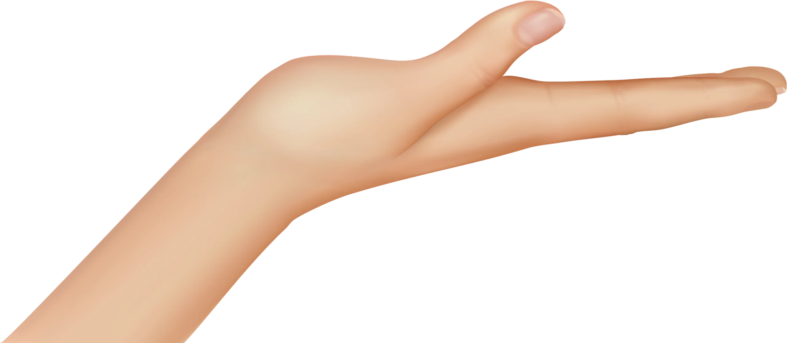 Elegant Minimalist Hand Gesture Clipart with Smooth Skin Texture