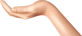Elegant Neutral-Toned Human Hand Clipart Illustration with Soft Curves