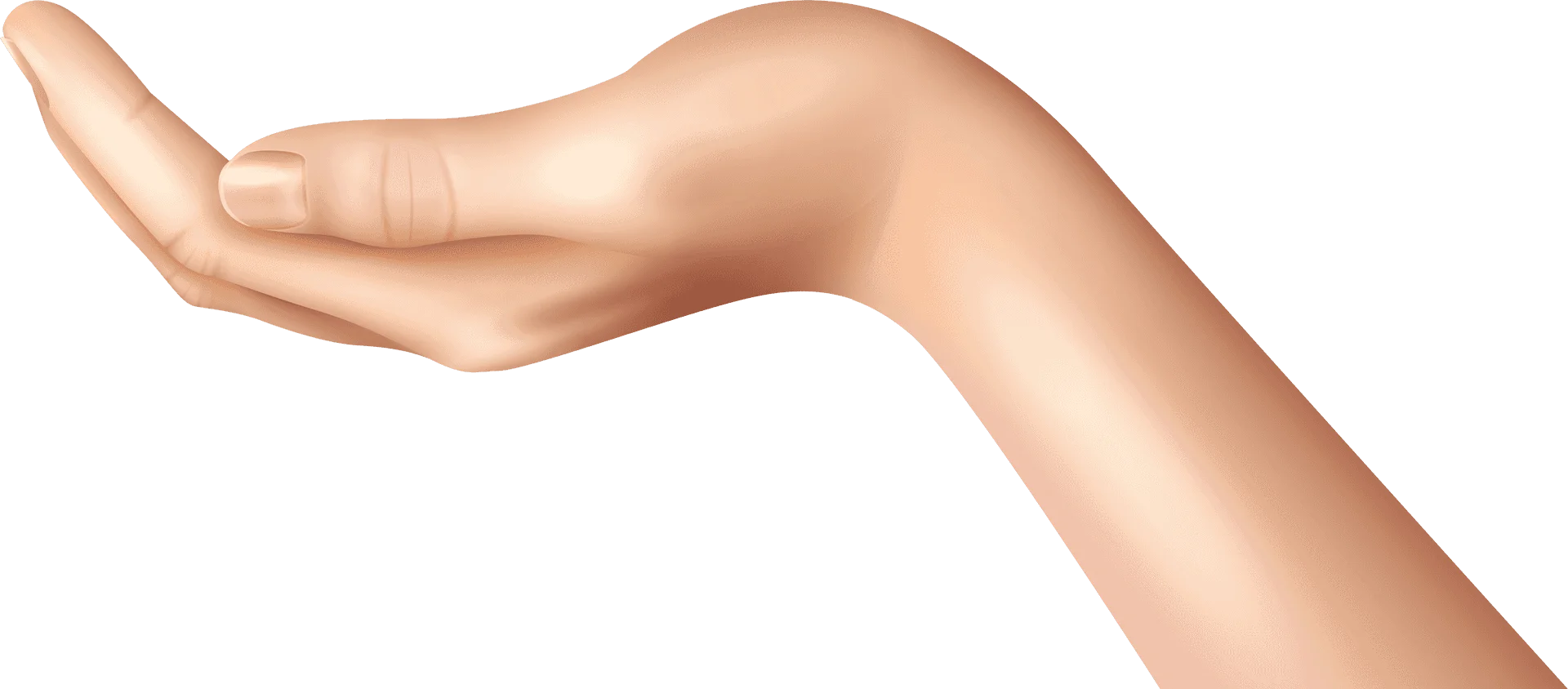 Elegant Neutral-Toned Human Hand Clipart Illustration with Soft Curves