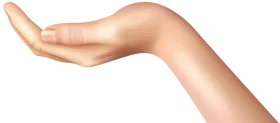 Elegant Open Palm Hand Gesture Clipart with Soft Skin Texture and Neutral Tone