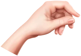 Elegant Pale Skin Hand Pose Realistic Medical Anatomy Clipart Illustration