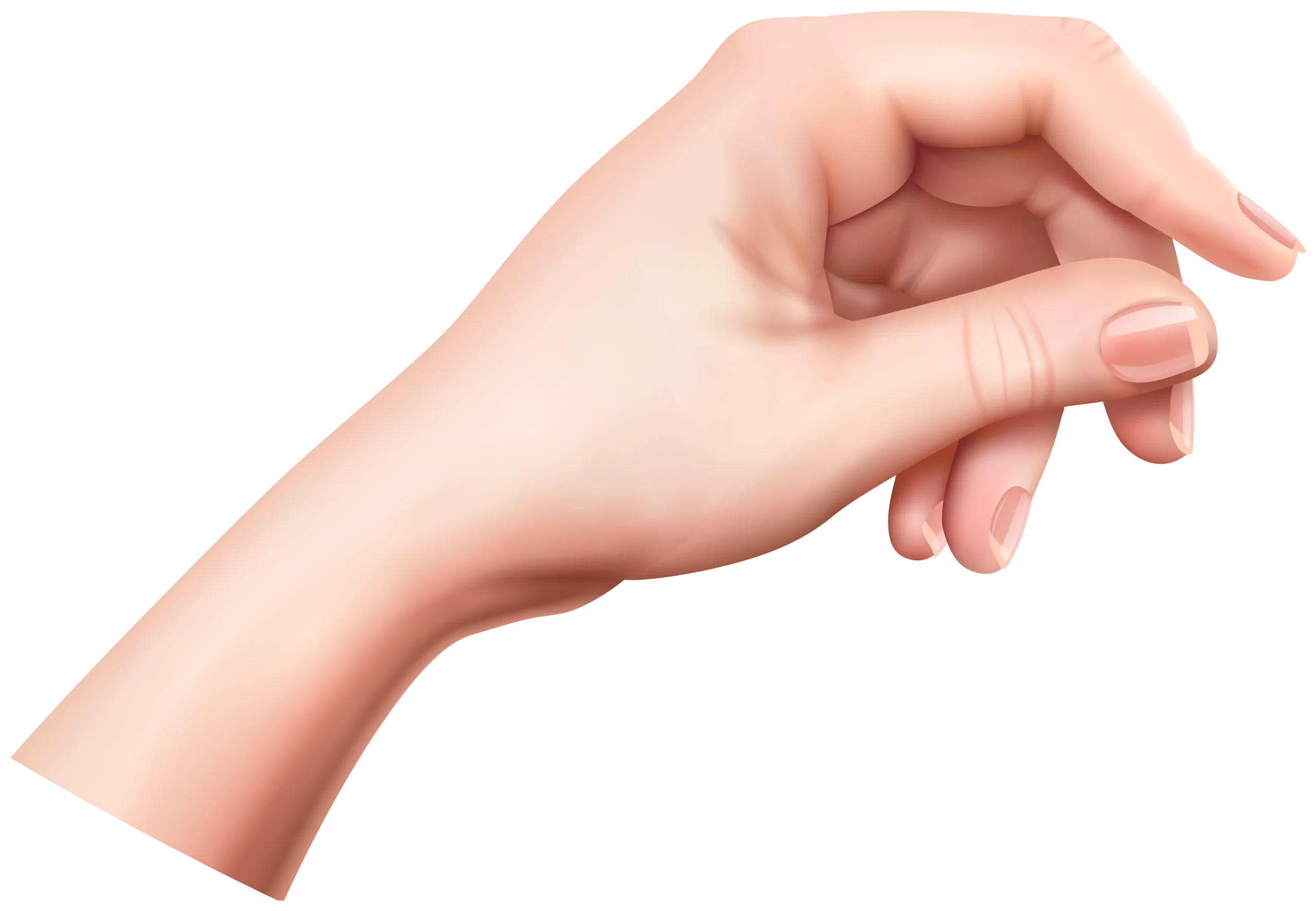 Elegant Pale Skin Hand Pose Realistic Medical Anatomy Clipart Illustration