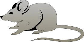 Minimalist Grey Mouse Clipart Illustration with Sleek Design and Simple Contours