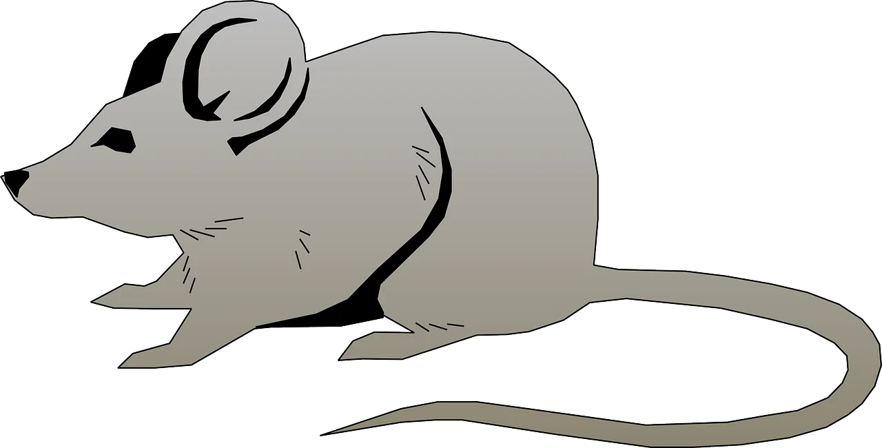 Minimalist Grey Mouse Clipart Illustration with Sleek Design and Simple Contours