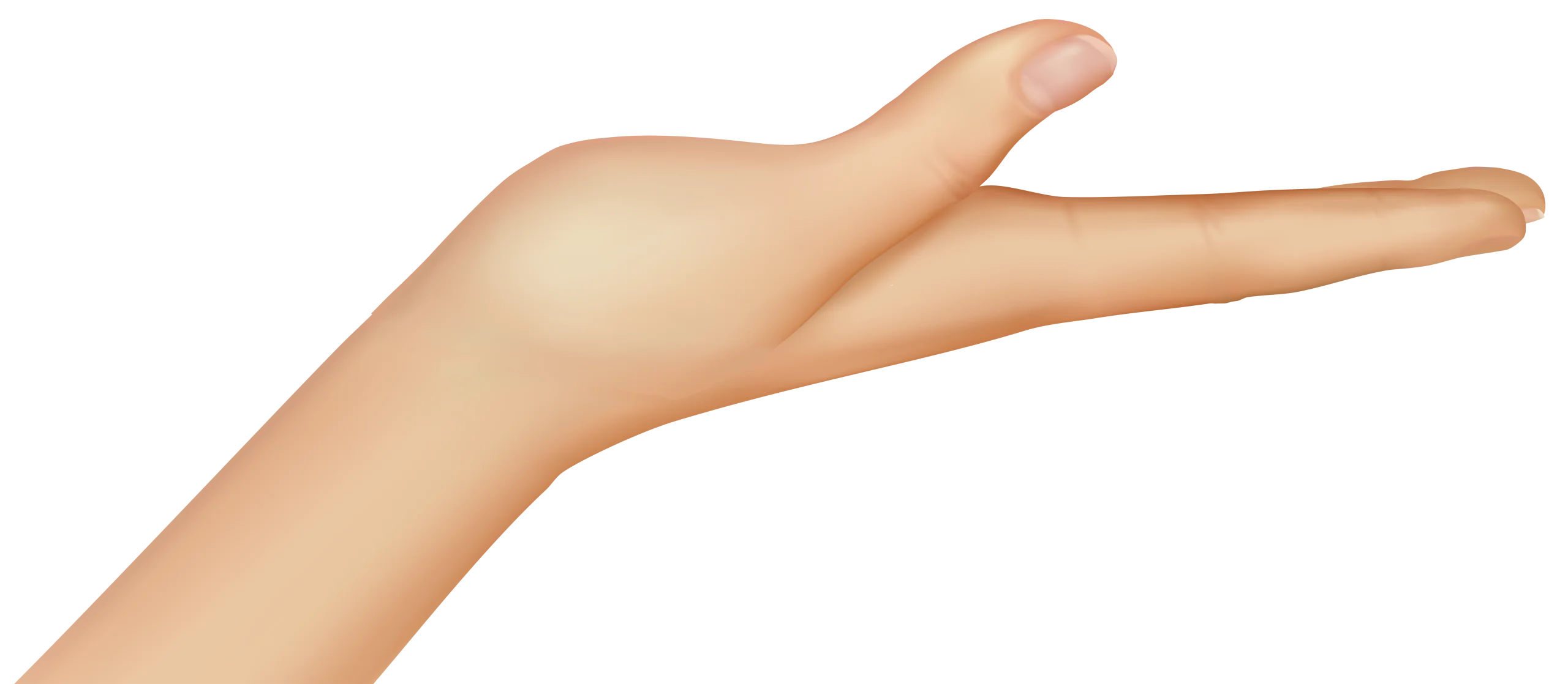 Minimalist Nude Skin-Toned Hand Gesture Clipart with Soft Elegant Curve
