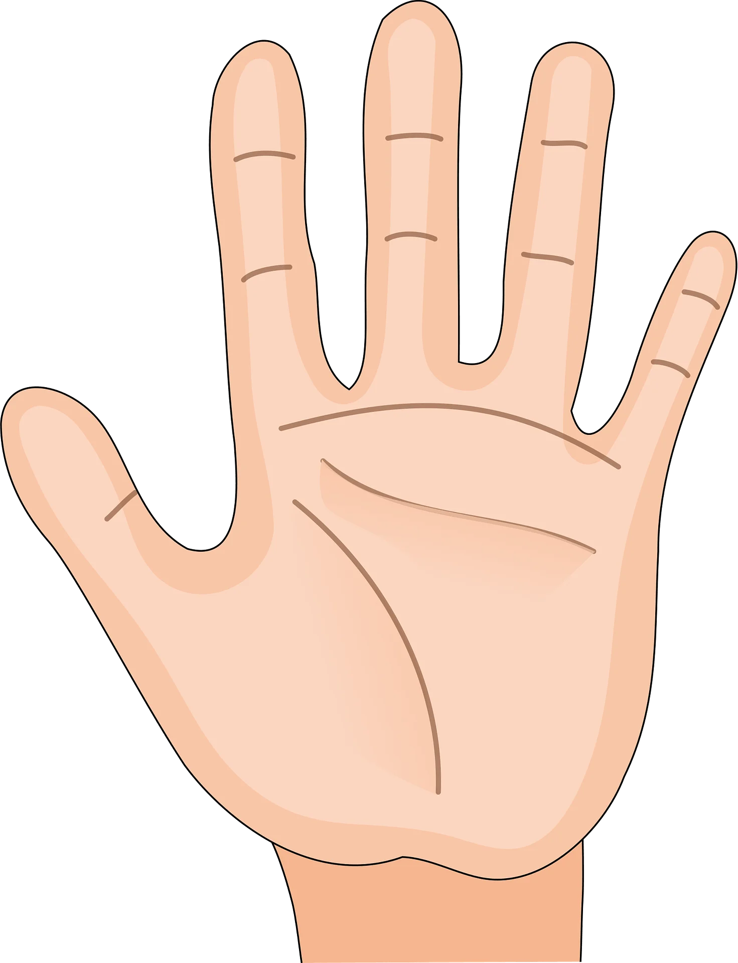 Open Palm Human Hand Clipart Illustration with Soft Skin Tones and Natural Lines